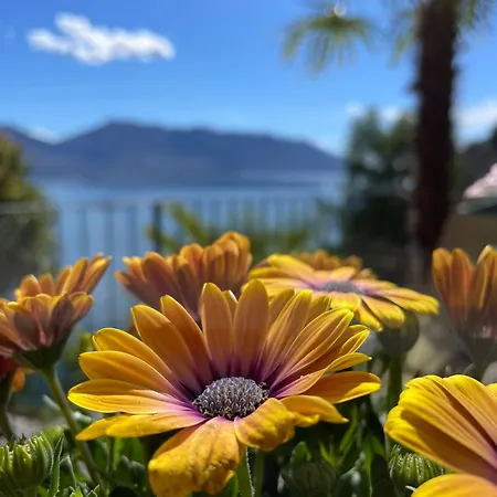 Angelina 3* Cannero Riviera